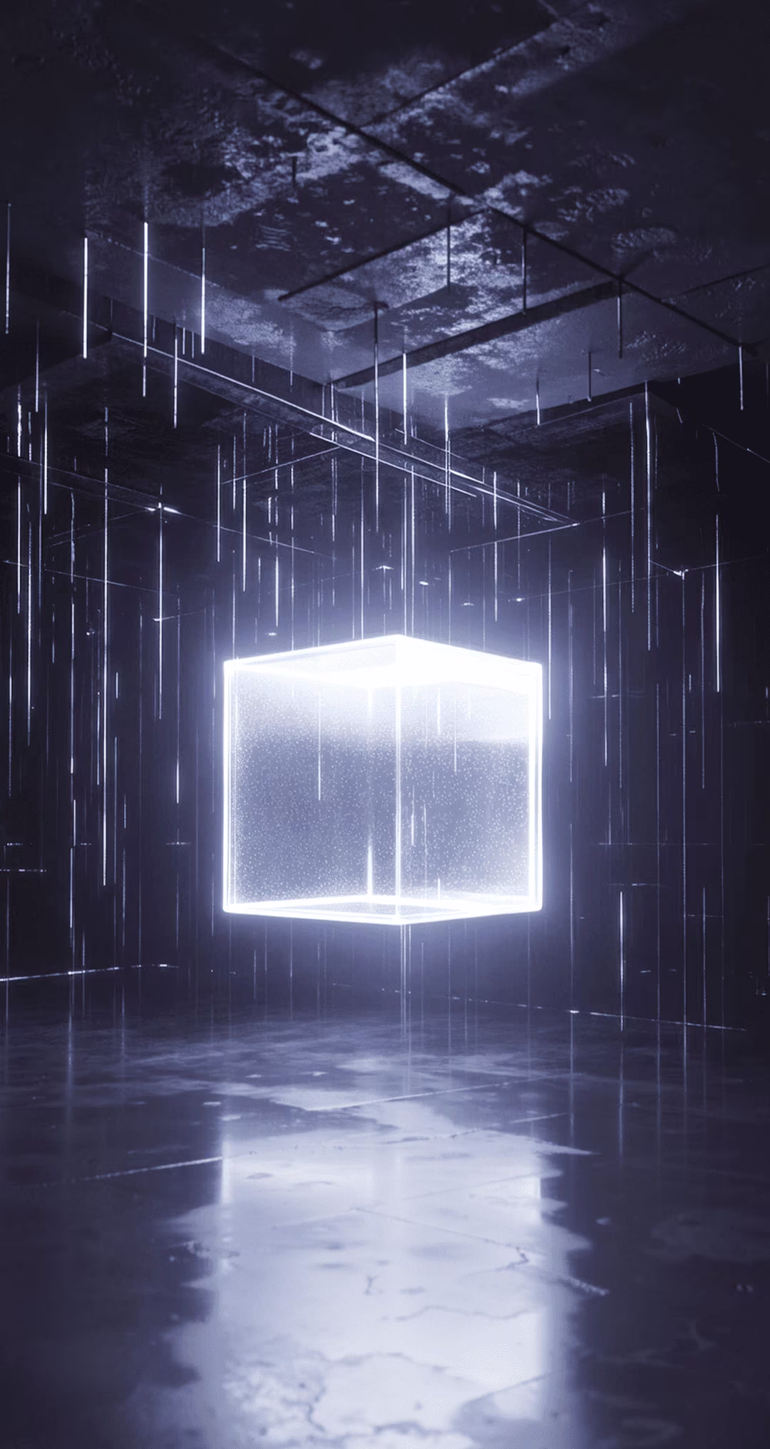 White Box
